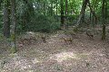 Parc de prehistoire morbihan france frankrijk french bretagne brittany dolmen menhir menhirs dino dinosaurus dinosaur dinosaure dinosauriers malansac themapark Hyracotherium